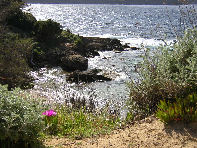 Diaporama